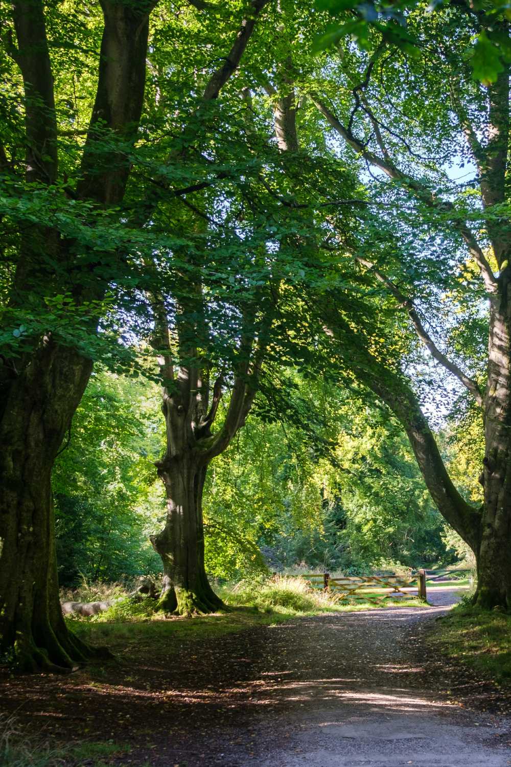 pexels kasia palitava 132623147 10163188 (1) (1)