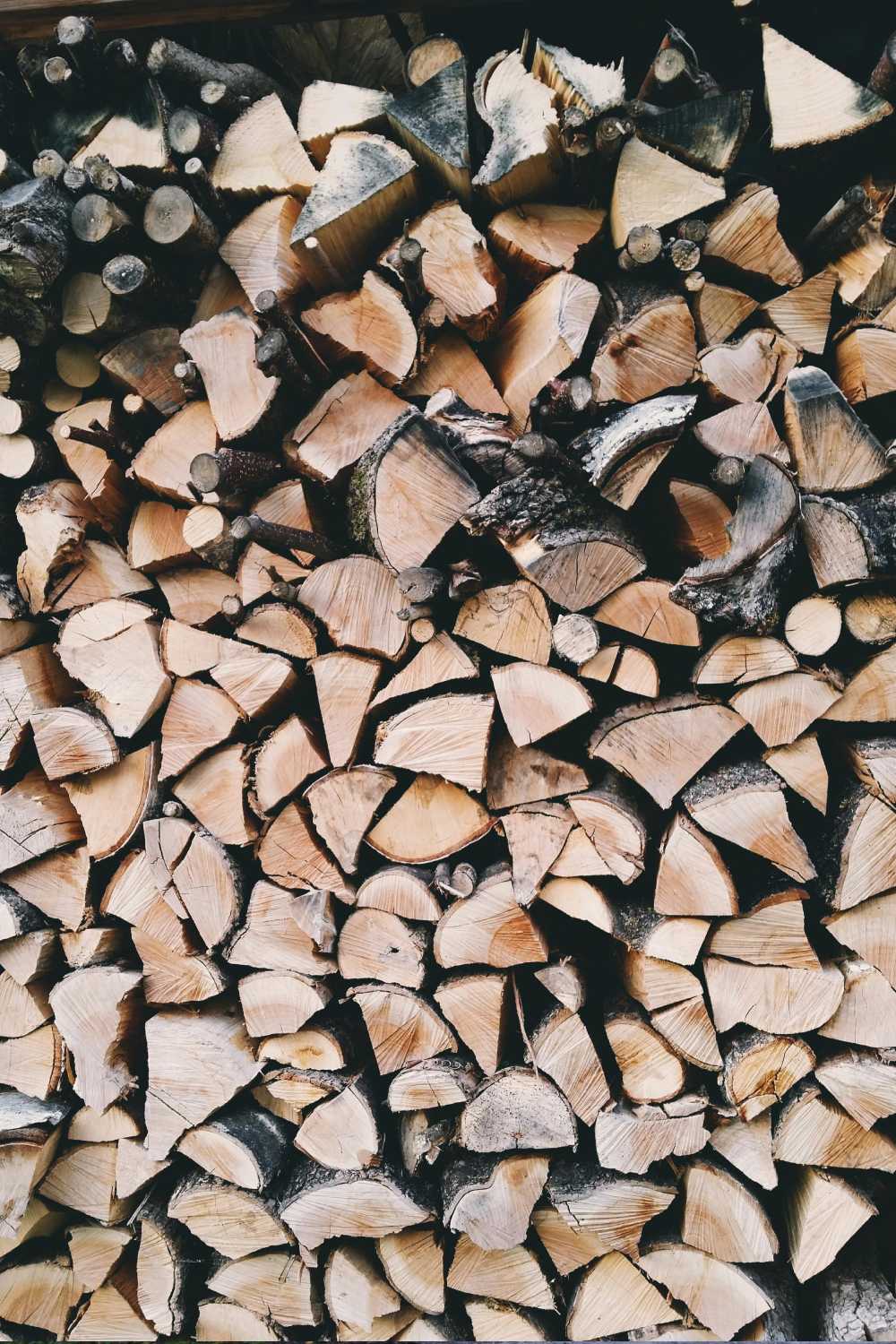 pexels kasia palitava 132623147 10163188 (1) (2)